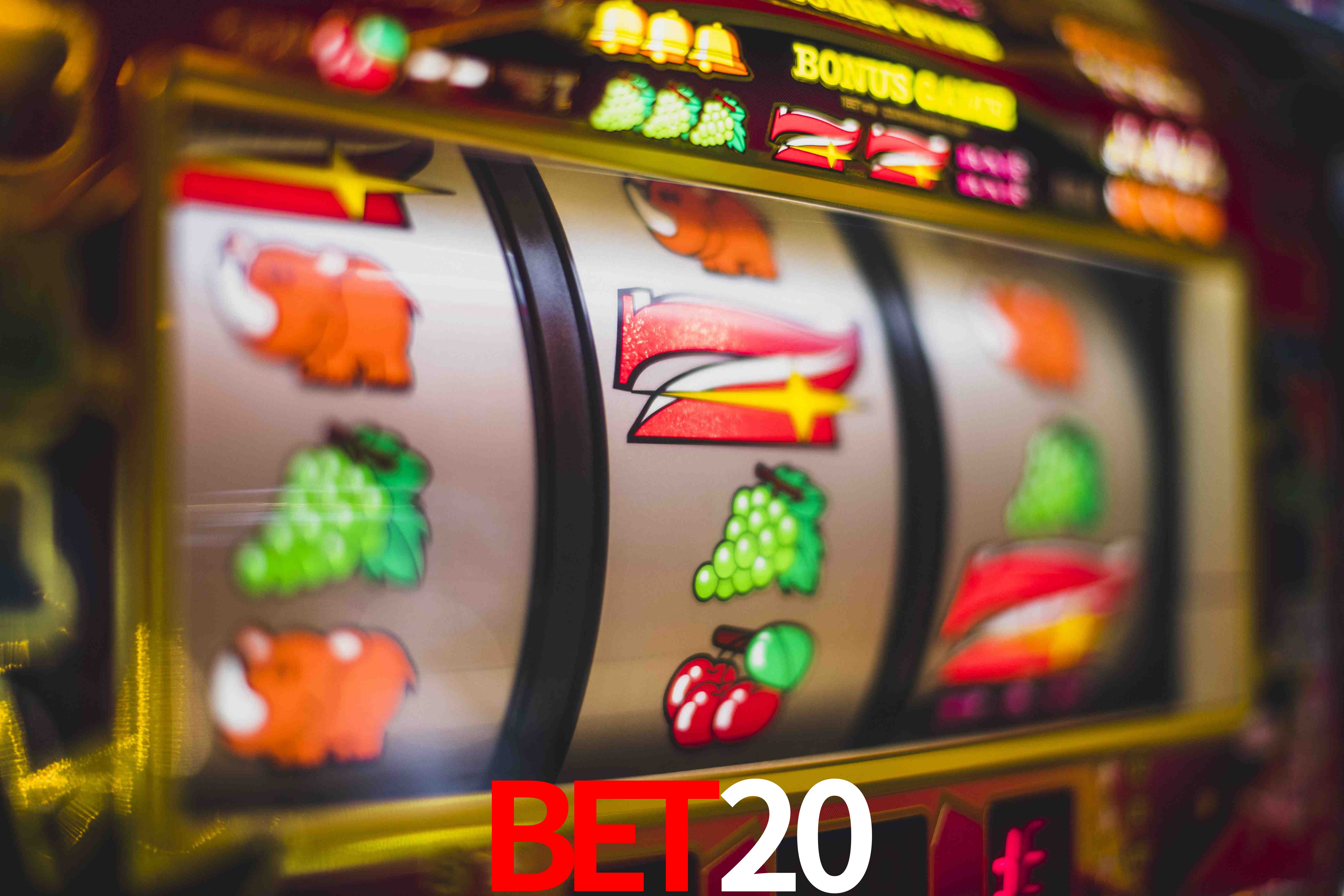 Experiência VIP bet20