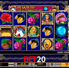 bet20 Rio de Janeiro - Bonus Terms